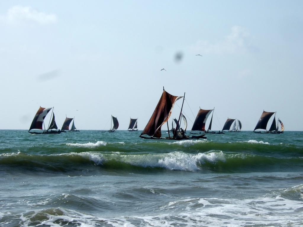 Ocean View Tourist Guest House At Negombo Beach Near The Airport 외부 사진